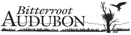 Bitterroot Audubon Society logo