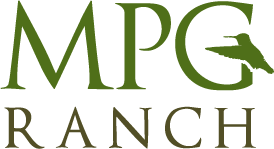 mpg ranch logo