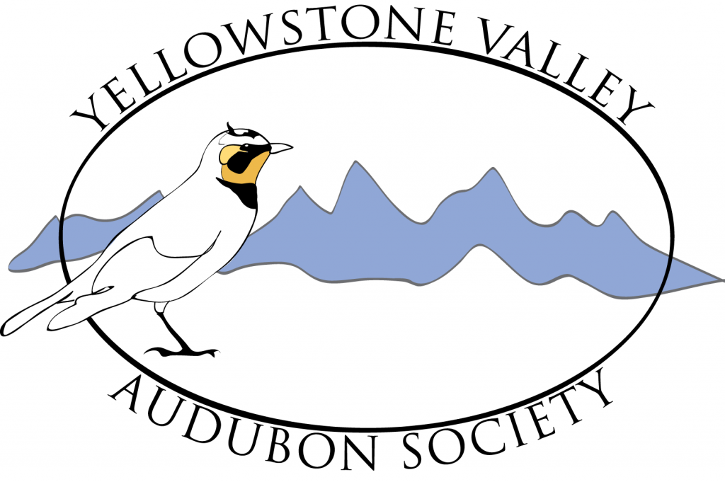 Yellowstone Valley Audubon Society logo