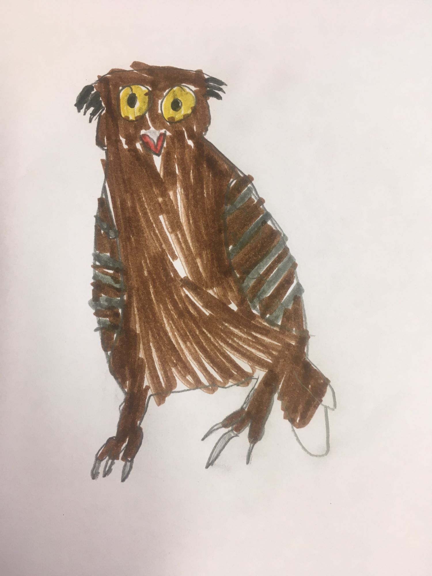 Program  participant's drawing of a raptor